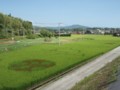 20120903212701