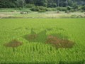 20120907231853