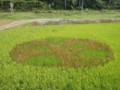 20120907231854