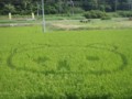 20120907231855