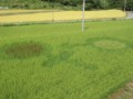 20120918104445