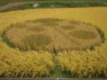 20121030200057