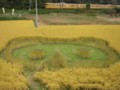 20121030200729