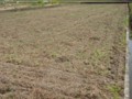 20131216204345