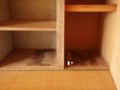 20140422222359