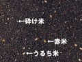 20150202064853
