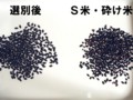 20150202065624