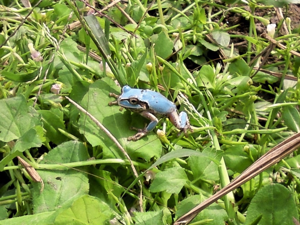 20161023005200