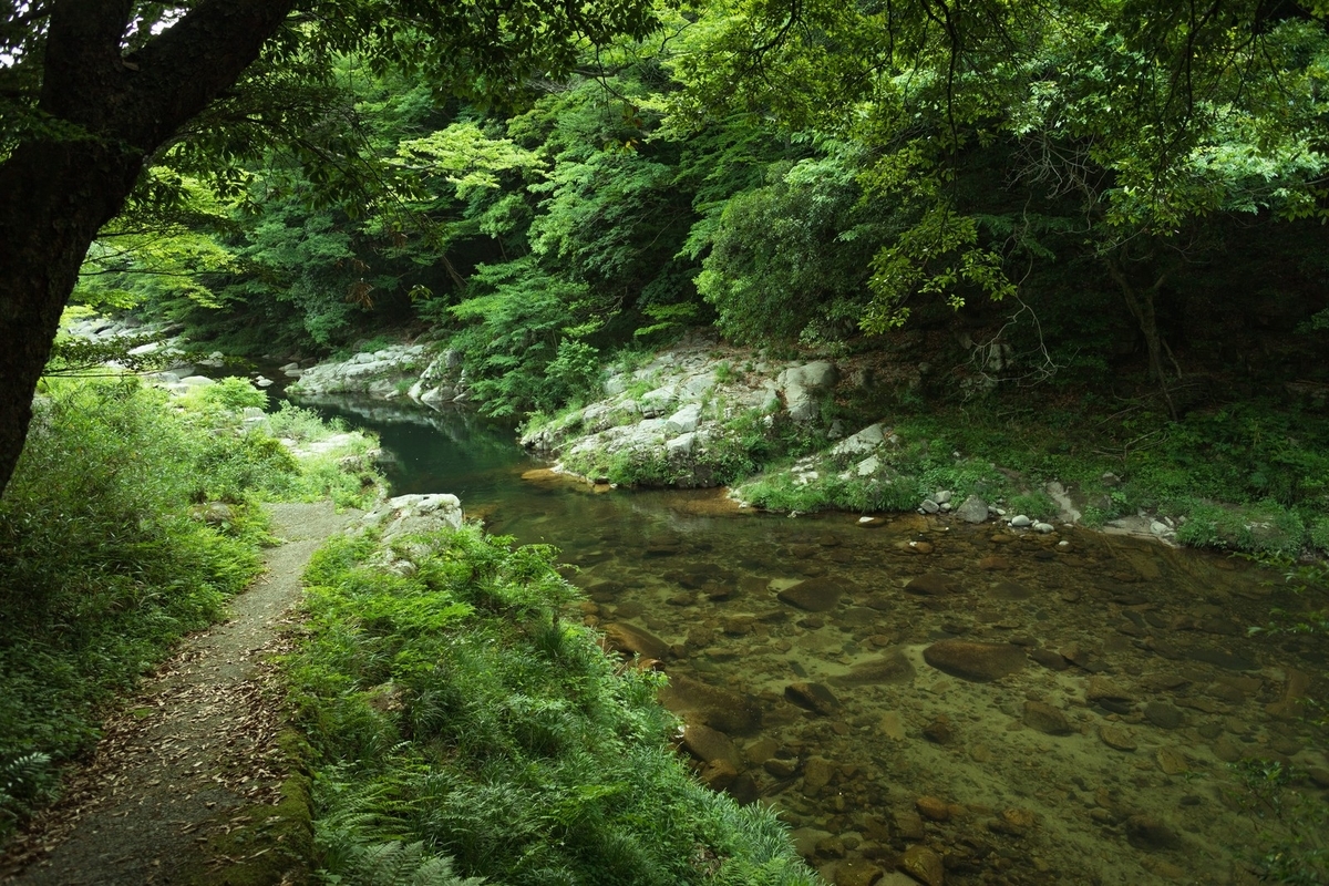 f:id:Juliankun:20210912212011j:plain
