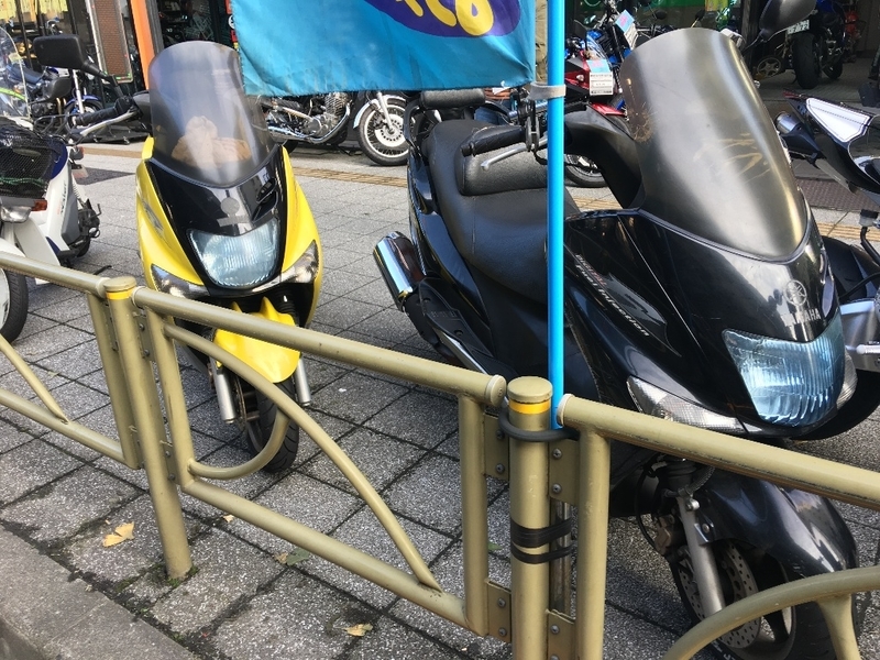 本当のコマジェンヌさん 仮称 にお会いしました アリガトウ ビルの谷間で暮らす 田舎の原付野郎