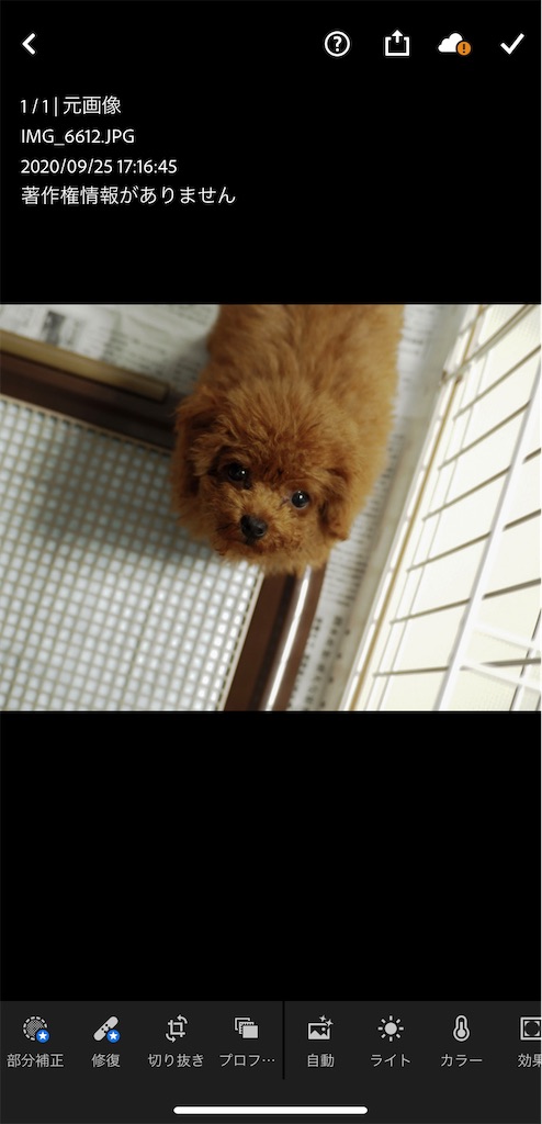 f:id:Jump-show:20201028233650j:image