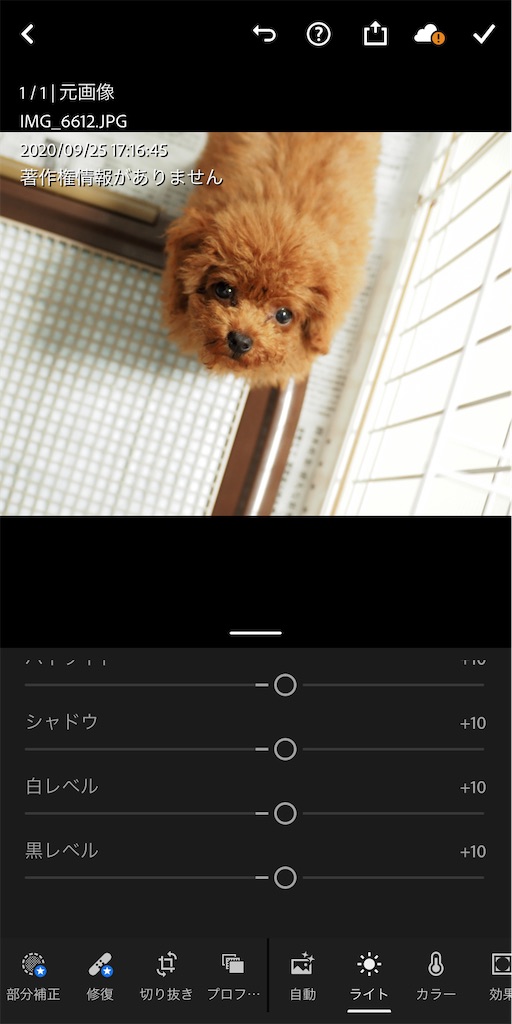 f:id:Jump-show:20201028234010j:image