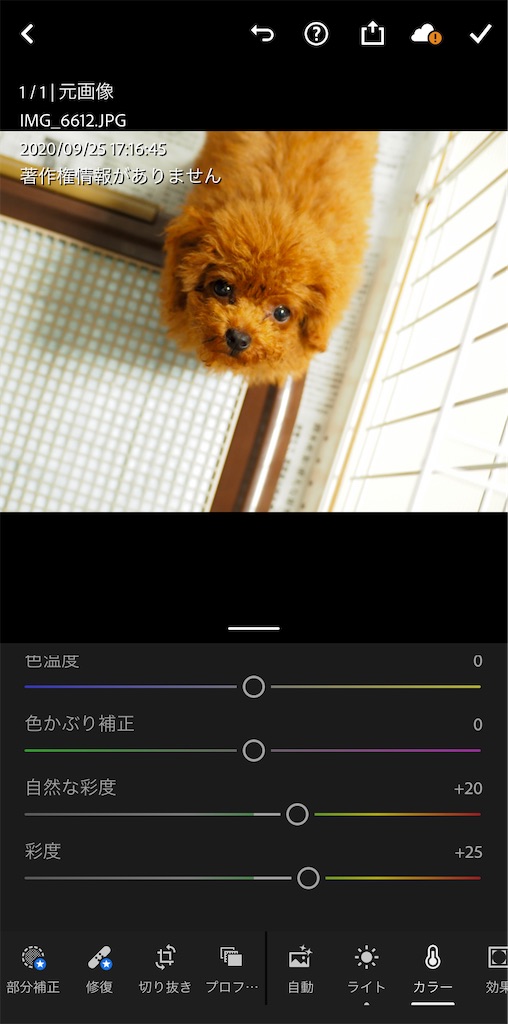 f:id:Jump-show:20201028234542j:image