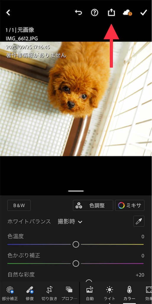 f:id:Jump-show:20201028235008j:image