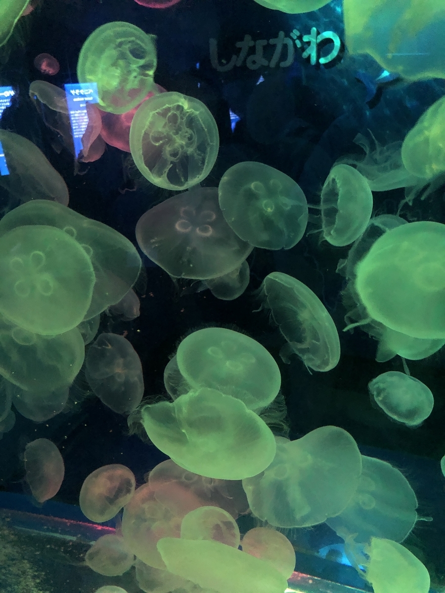 f:id:Jumpaku:20191213033543j:plain f:id:Jumpaku:20191213033543j:plain