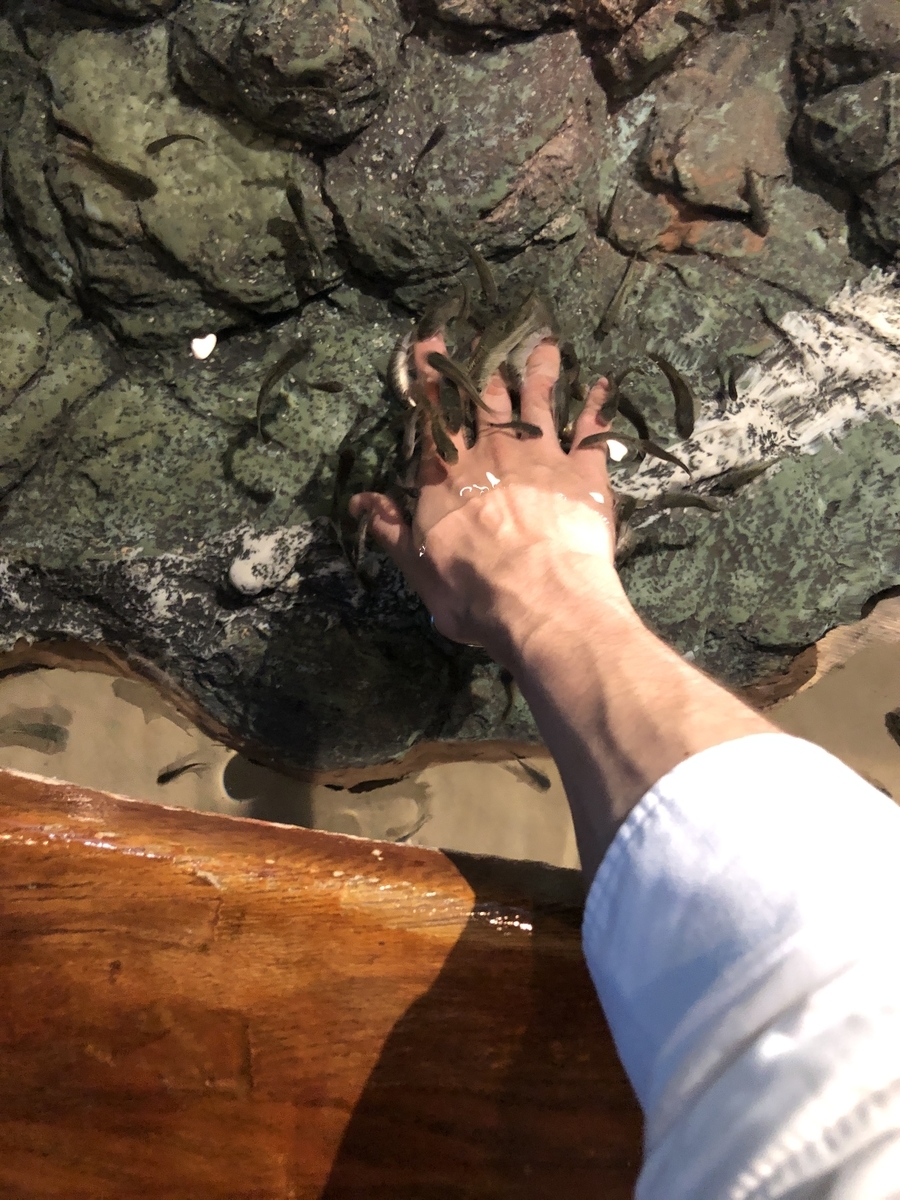 f:id:Jumpaku:20191213033750j:plain f:id:Jumpaku:20191213033750j:plain