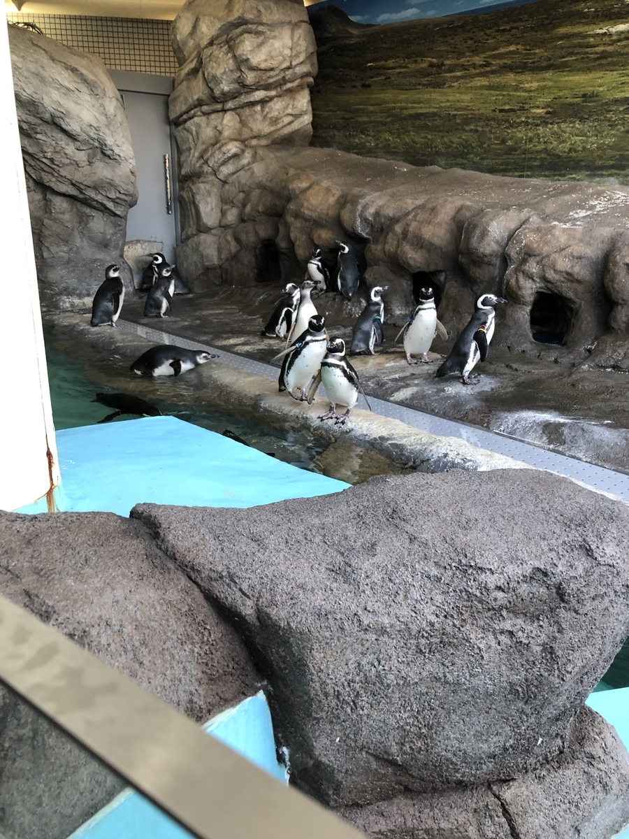 f:id:Jumpaku:20191213033823j:plain f:id:Jumpaku:20191213033823j:plain