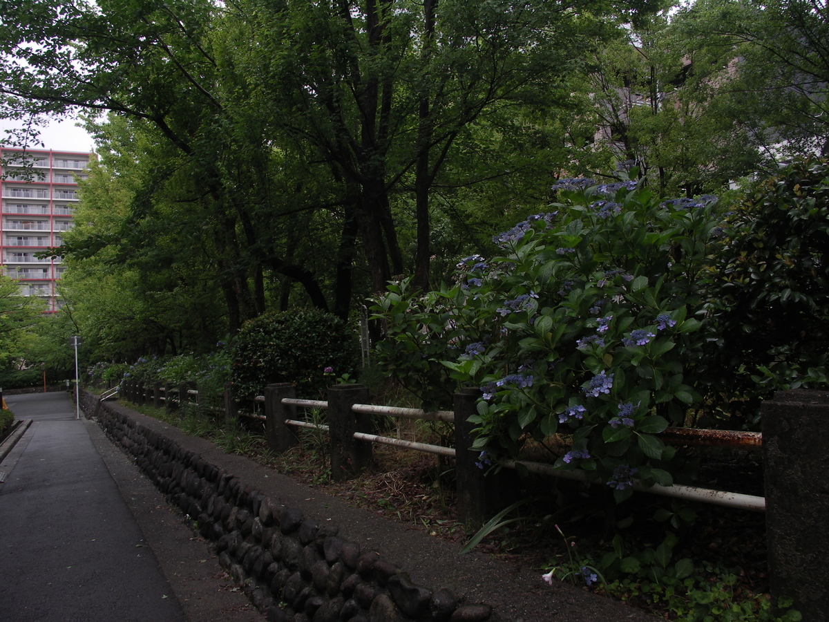 f:id:JunKawamata:20190630191814j:plain f:id:JunKawamata:20190630191814j:plain