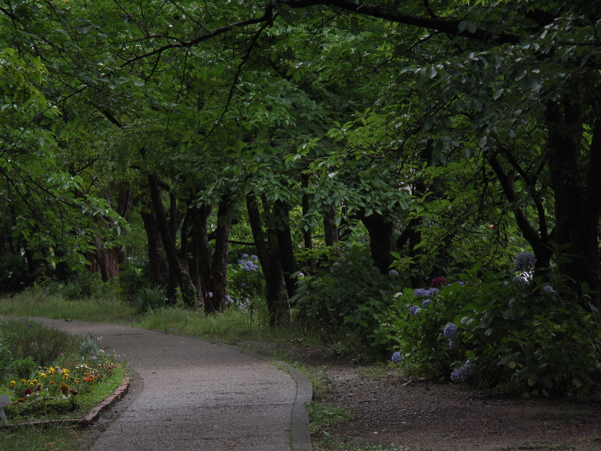 f:id:JunKawamata:20190630192512j:plain f:id:JunKawamata:20190630192512j:plain