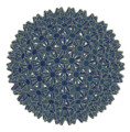 20100417224401