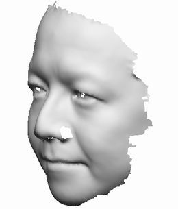 顔の3dモデル みたにっき はてな 顔の3dモデル みたにっき はてな