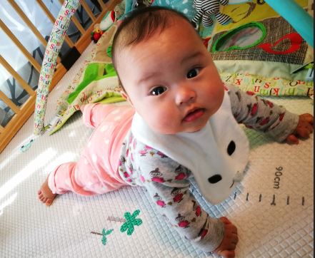 f:id:Jun_N:20190325120454j:plain