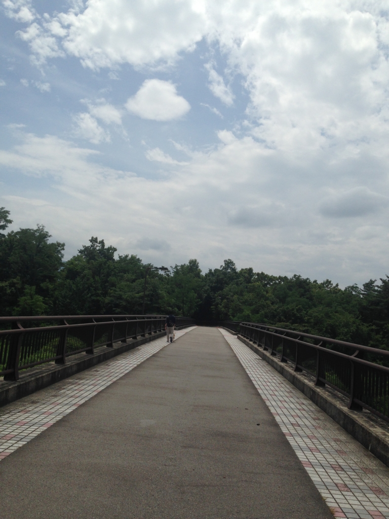 f:id:JunchanObachan:20160717173335j:plain