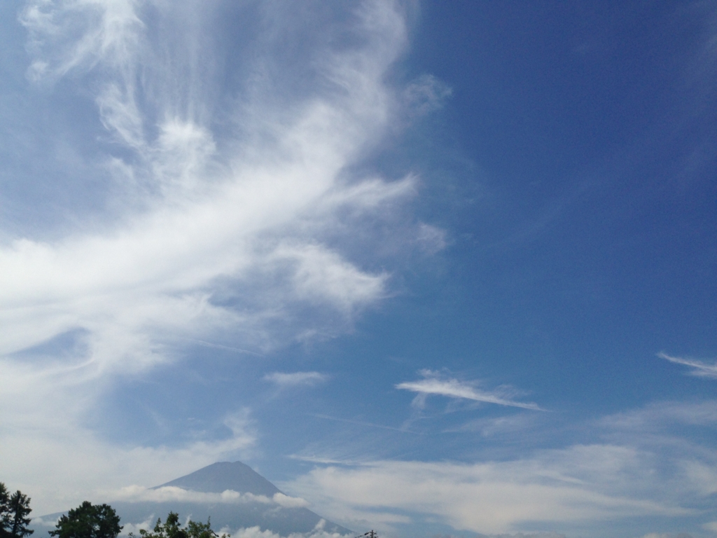 f:id:JunchanObachan:20160724141101j:plain f:id:JunchanObachan:20160724141101j:plain