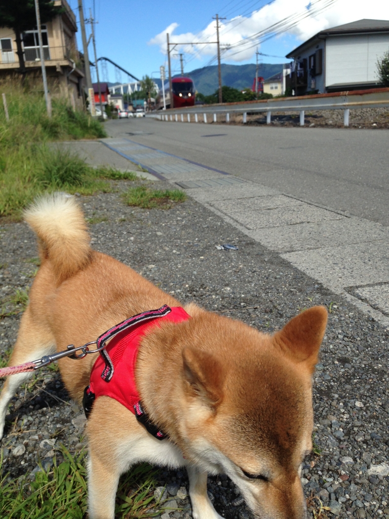 f:id:JunchanObachan:20160909234617j:plain