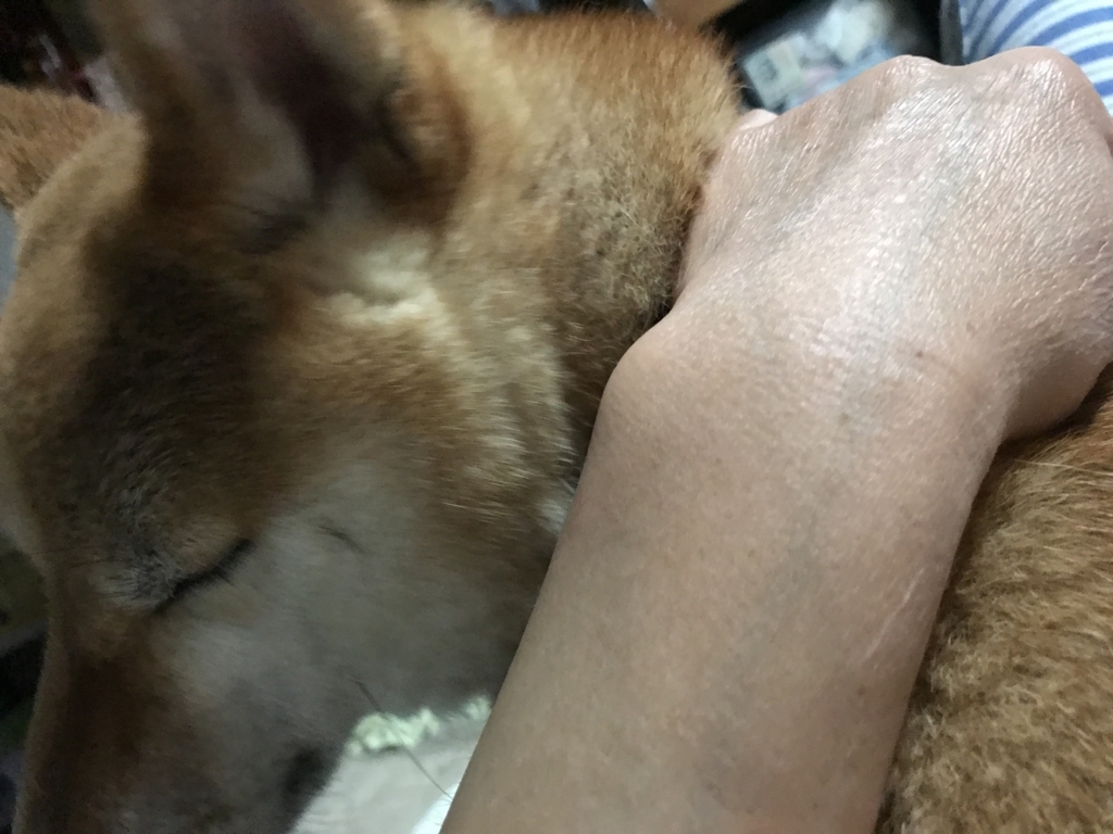 f:id:JunchanObachan:20170529223958j:plain