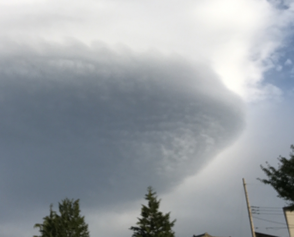 f:id:JunchanObachan:20170921213530j:plain f:id:JunchanObachan:20170921213530j:plain