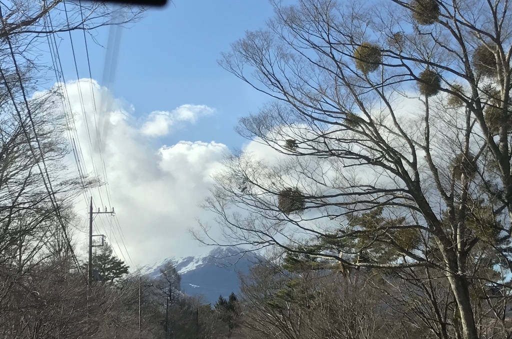 f:id:JunchanObachan:20190105225641j:plain