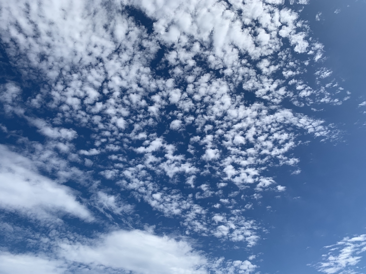 f:id:JunchanObachan:20190902214618j:plain