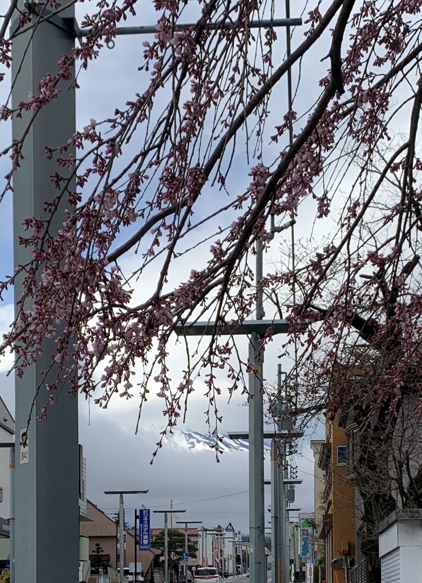 f:id:JunchanObachan:20200328082606j:plain