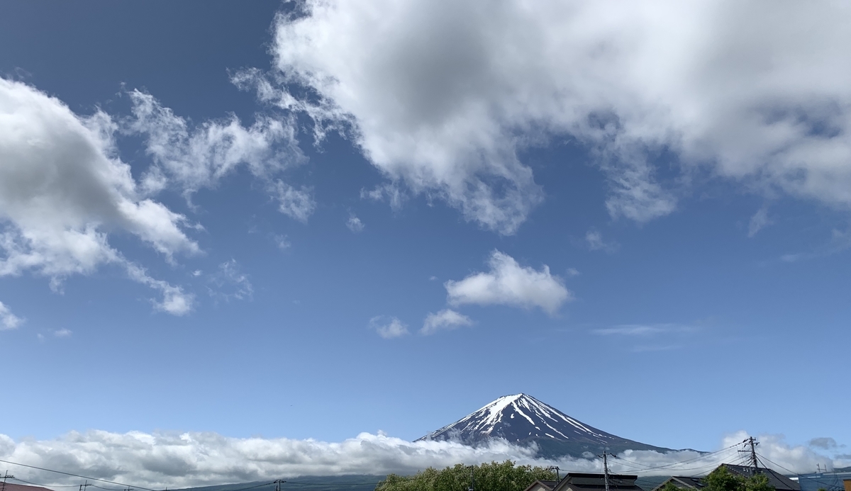 f:id:JunchanObachan:20200605100506j:plain