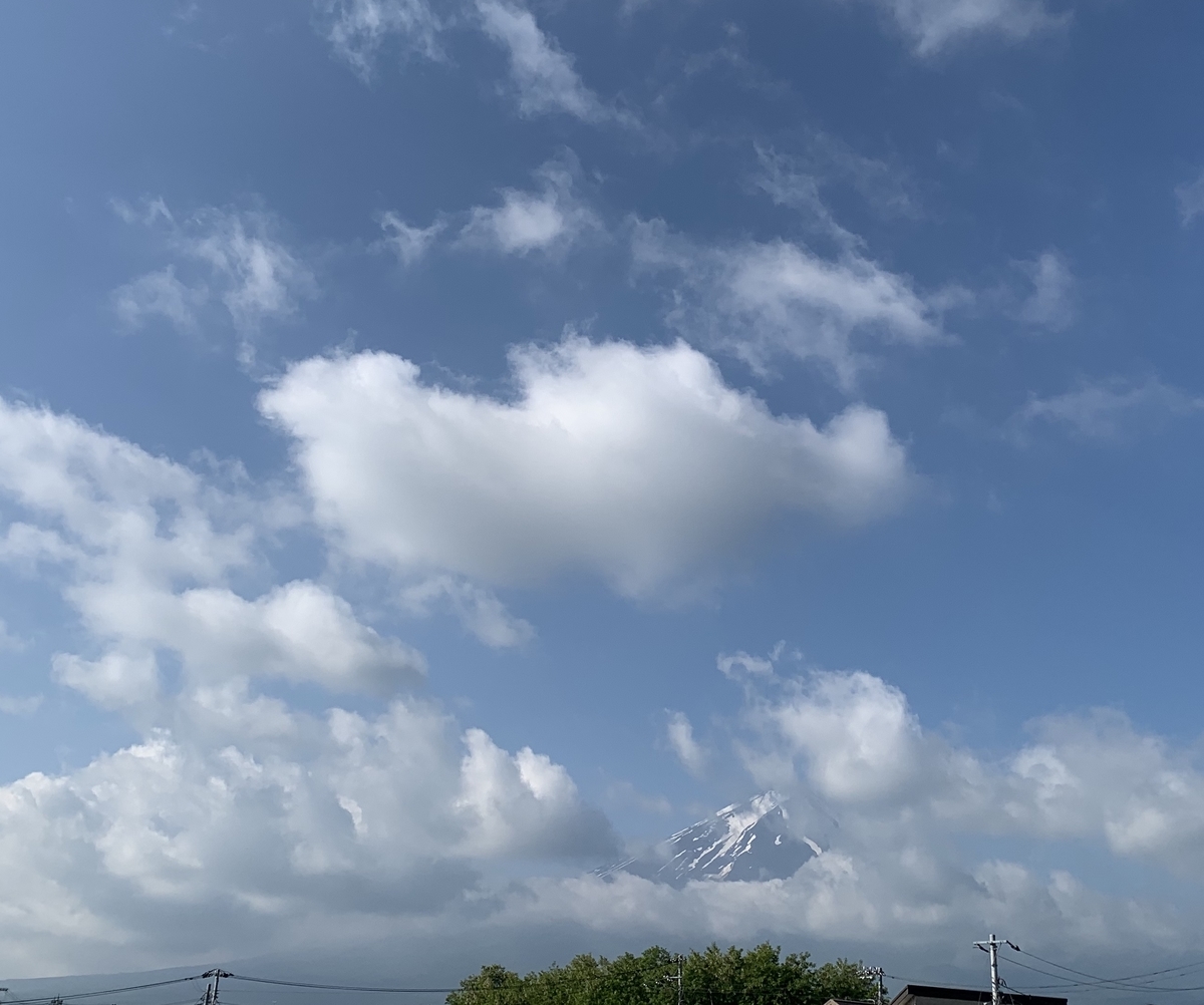 f:id:JunchanObachan:20200610072709j:plain