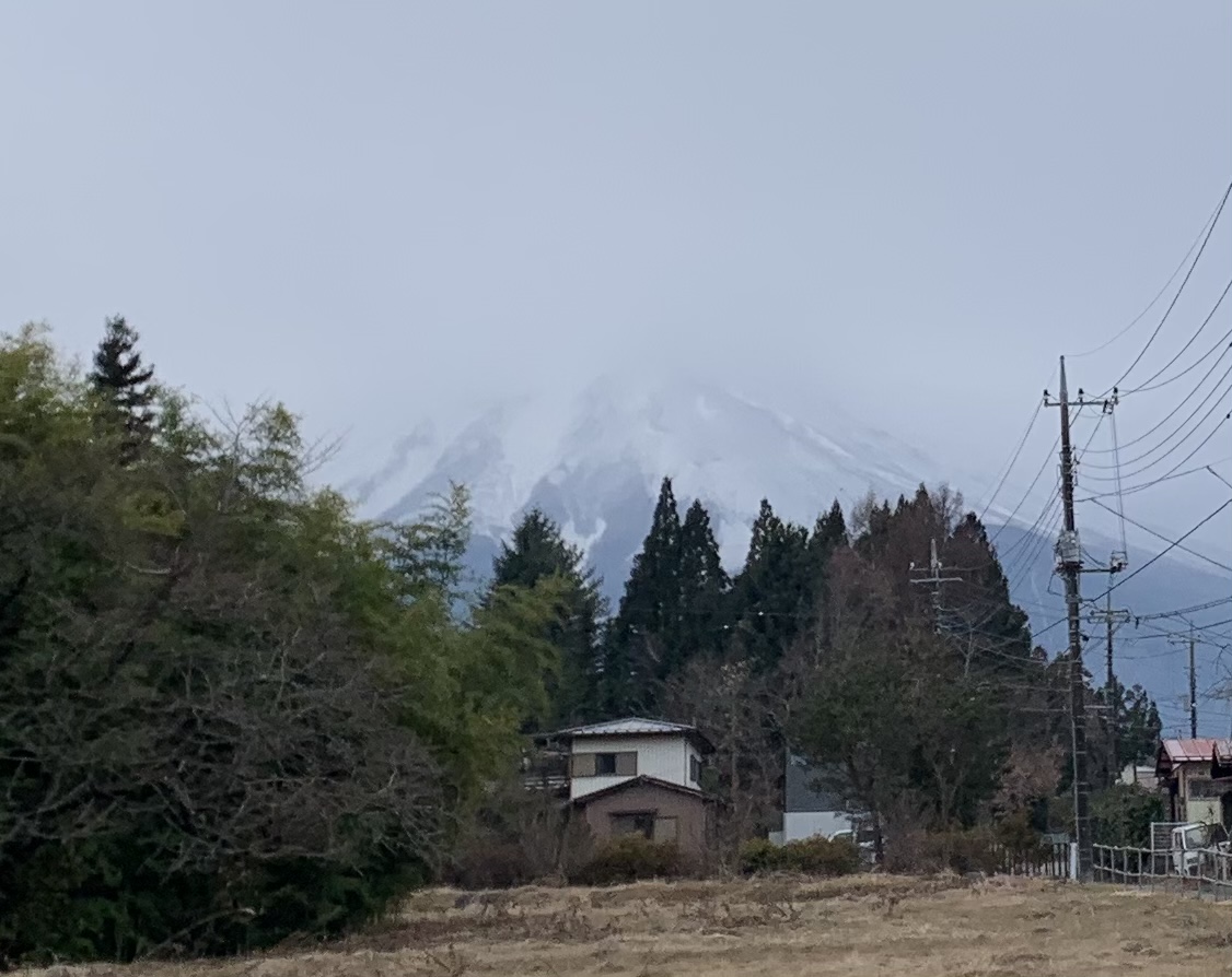 f:id:JunchanObachan:20201228083506j:plain