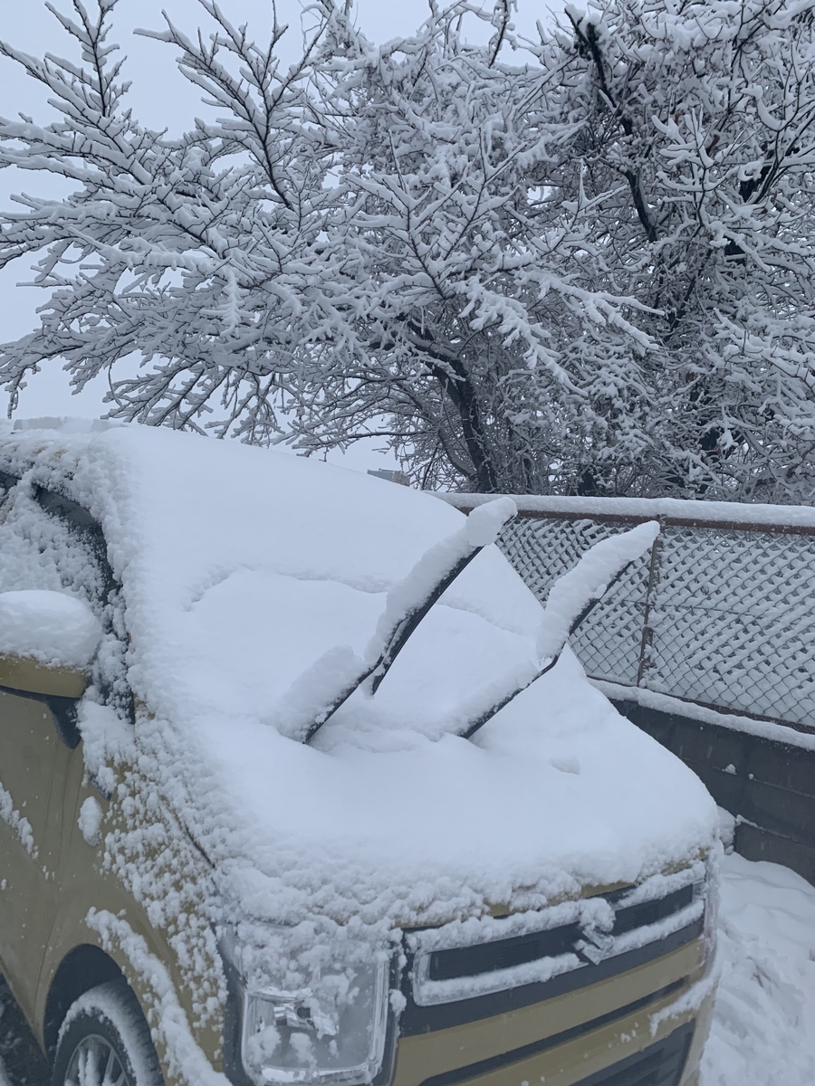 f:id:JunchanObachan:20210125065113j:plain