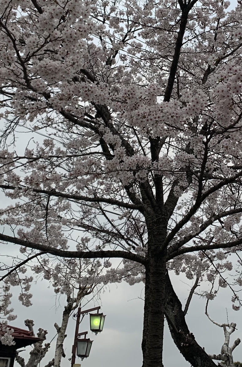 f:id:JunchanObachan:20210402131117j:plain