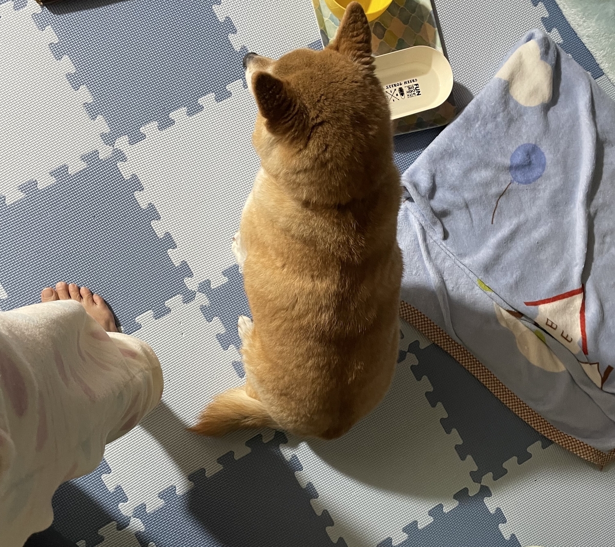 f:id:JunchanObachan:20220319211522j:plain