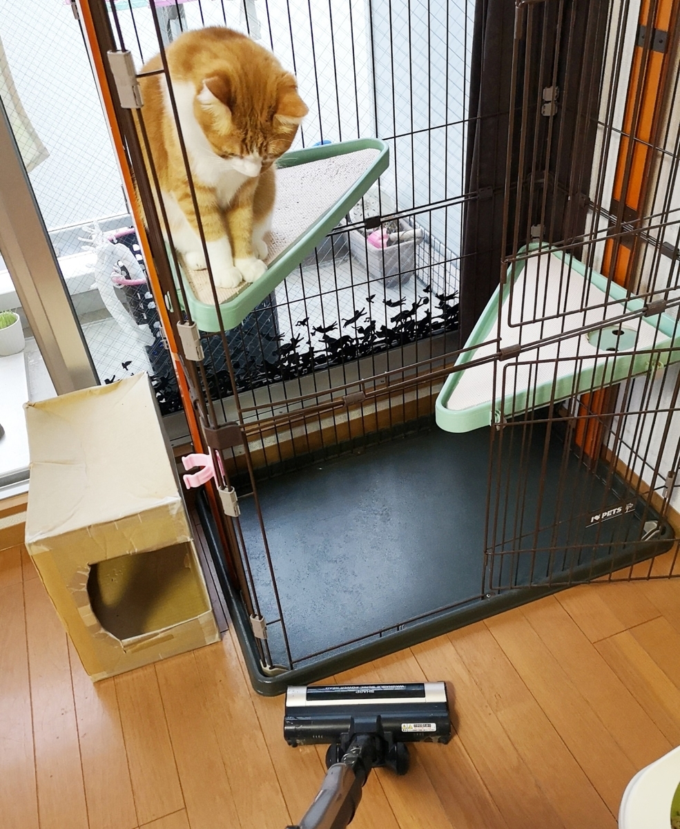 f:id:JuneNNN:20191024175724j:plain f:id:JuneNNN:20191024175724j:plain