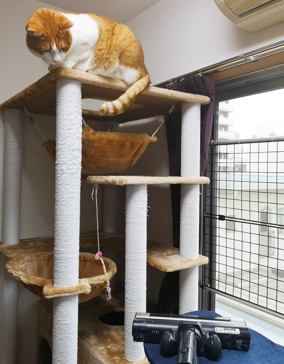 f:id:JuneNNN:20191024180055j:plain f:id:JuneNNN:20191024180055j:plain