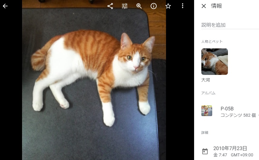 f:id:JuneNNN:20191029182424j:plain
