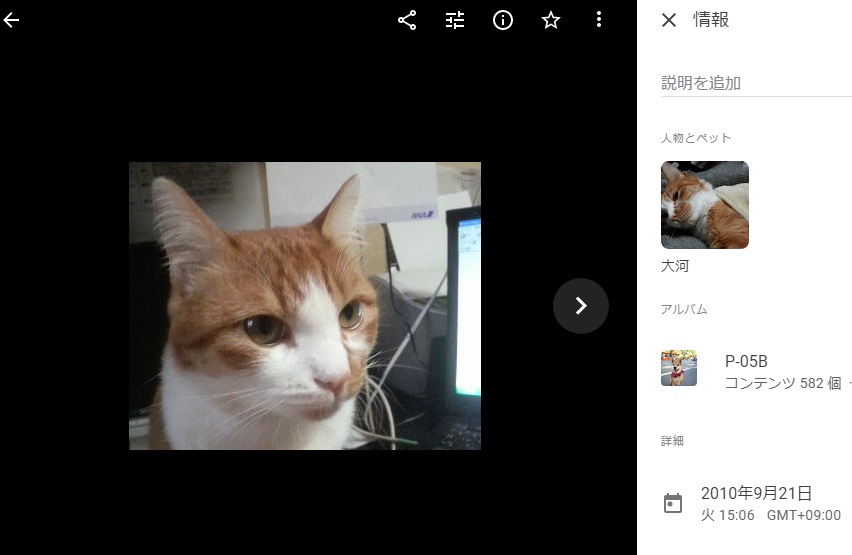 f:id:JuneNNN:20191029182441j:plain