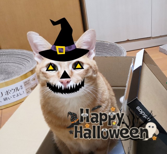 f:id:JuneNNN:20191031130328j:plain