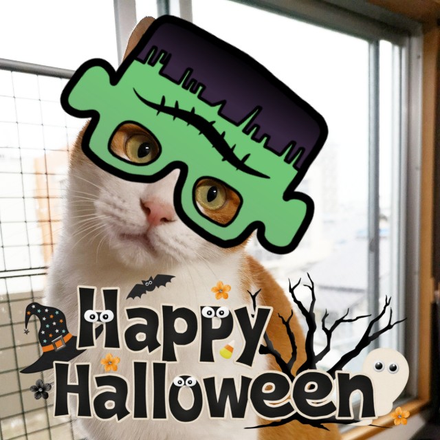 f:id:JuneNNN:20191031130440j:plain