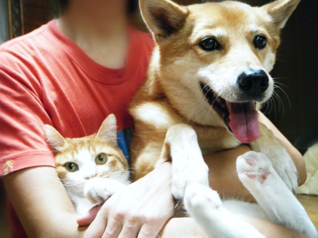 f:id:JuneNNN:20191101161824j:plain f:id:JuneNNN:20191101161824j:plain