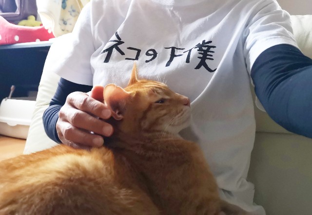 f:id:JuneNNN:20191109110823j:plain