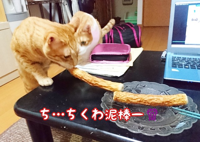 f:id:JuneNNN:20191116175429j:plain