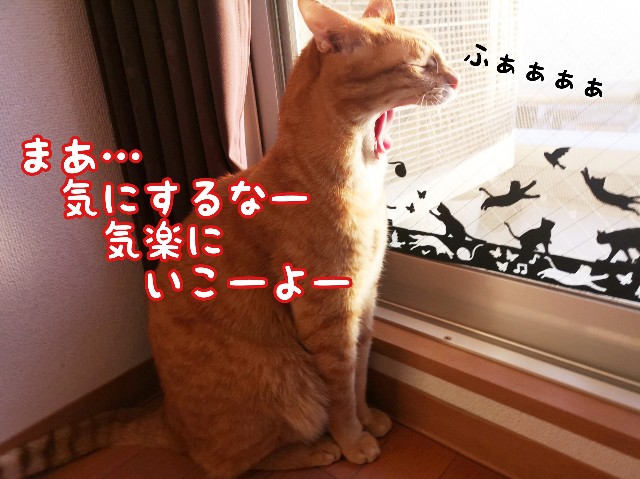 f:id:JuneNNN:20191120123642j:plain f:id:JuneNNN:20191120123642j:plain